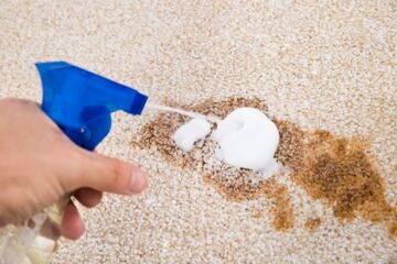 Person Cleaning Carpet